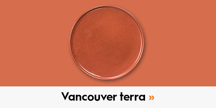 https://www.blokker.nl/vancouver-servies-terra